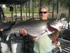 (08/25/2014) - Nice Striped Bass